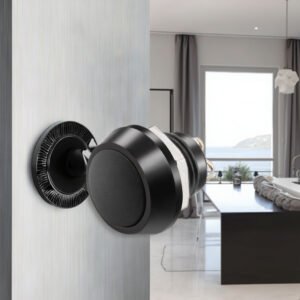 Langir 12mm 24V Waterproof IP67 Off-On Non-Illuminated Electrical Switches 2-Pines Momentary Metal Push Button 1NO 12V Plastic