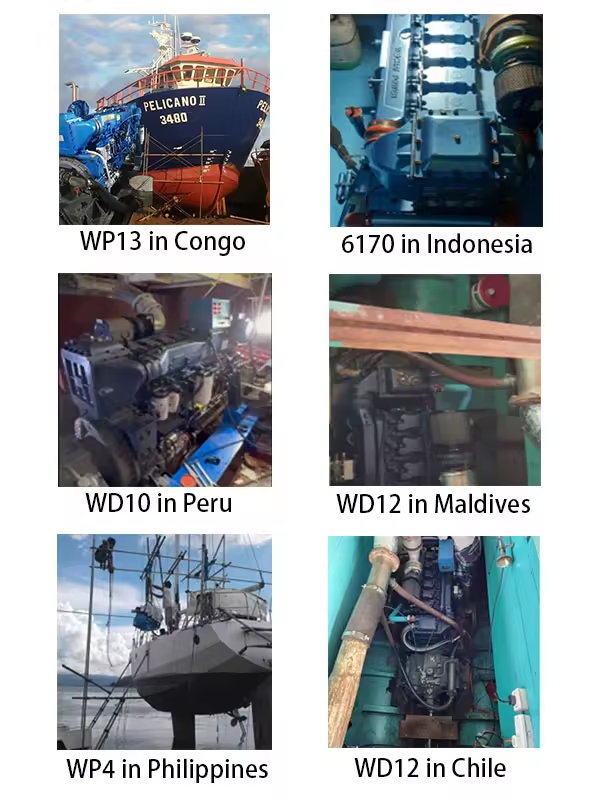 Weichai Wd10 Marine diesel Engine 312 hp WD10C312-18 Marine Engine Boat Engine 4 Stroke for Sale - Image 6